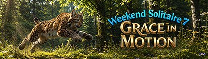 Weekend Solitaire: Grace screenshot
