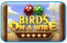 Download Birds on a Wire Game