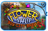 Download Flower Shop Game