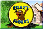 Crazy Moles Download