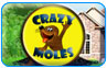 Download Crazy Moles Game