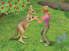 Pet Vet 3D Down Under Screenshot 2
