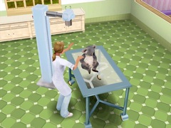 Pet Vet 3D Down Under Screenshot 3