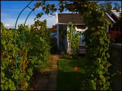 The Color of Murder Screenshot 1