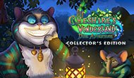 Cheshires Wonderland - Dire Adventure Collectors Edition