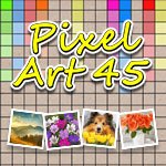 Pixel Art 45