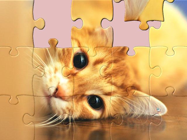1001 Jigsaw Cute Cats 2 large screenshot