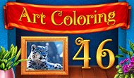 Art Coloring 46