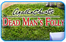 Download Agatha Christie: Dead Man's Folly Game