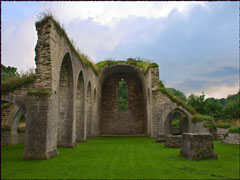 Blue Madonna: A Carol Reed Mystery Screenshot 2