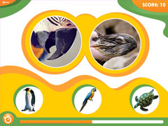 Animal Genius Screenshot 2