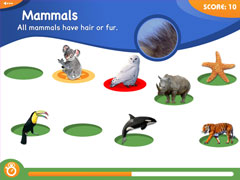 Animal Genius Screenshot 3