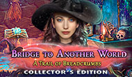 Bridge to Another World: A Trail of Breadcrumbs CE