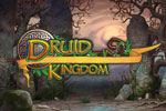 Download Druid Kingdom Game
