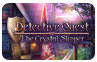 Download Detective Quest: The Crystal Slipper Game