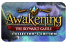 Download Awakening: The Skyward Castle Collector's Edition Game