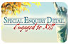 Download Special Enquiry Detail Engaged to Kill Game