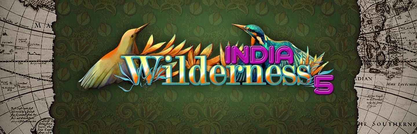 Wilderness Mosaic 5 - India