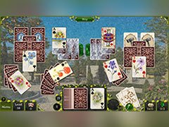 Jewel Match Solitaire Summertime thumb 2