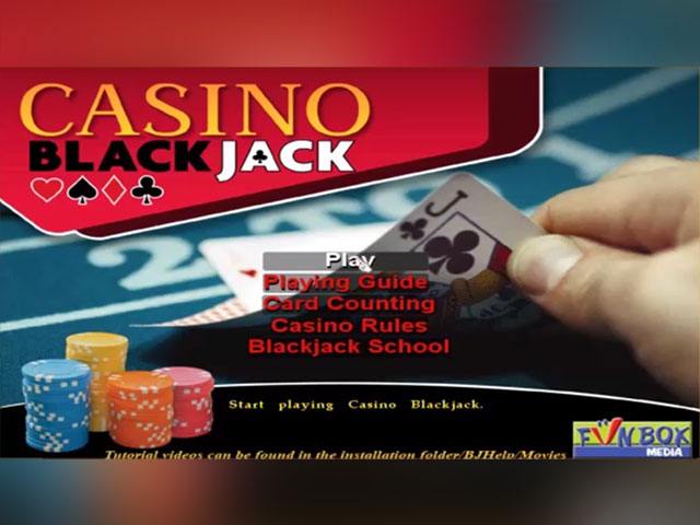 Casino Blackjack large screenshot