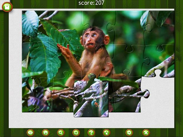 1001 Jigsaw Wild Animals large screenshot