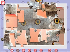 1001 Jigsaw Cute Cats 4 thumb 3