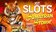 IGT Slots Sumatran Storm