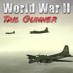 WW2 Tail Gunner