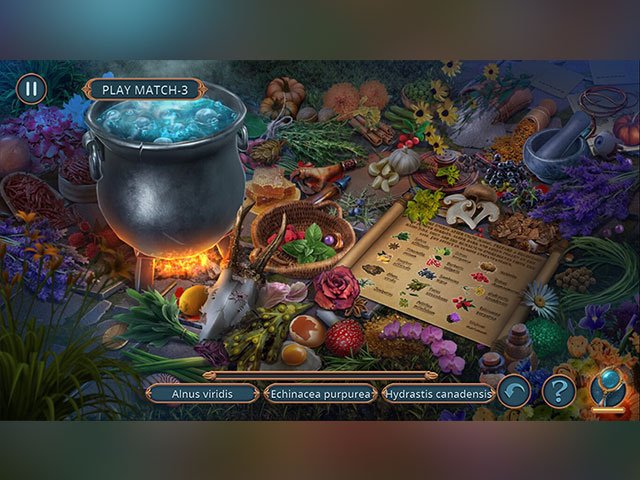 Connected Hearts: Cost of Beauty Collector's Edition large screenshot